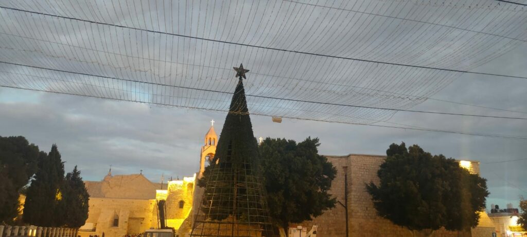 شجرة الميلاد في بيت لحم