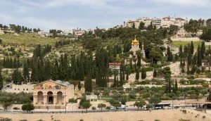 جبل الزيتون، ويضم كنيسة مريم المجدلية (في المنتصف إلى اليمين) وكنيسة جميع الأمم (أسفل اليسار). نورلان/أدوبي ستوك