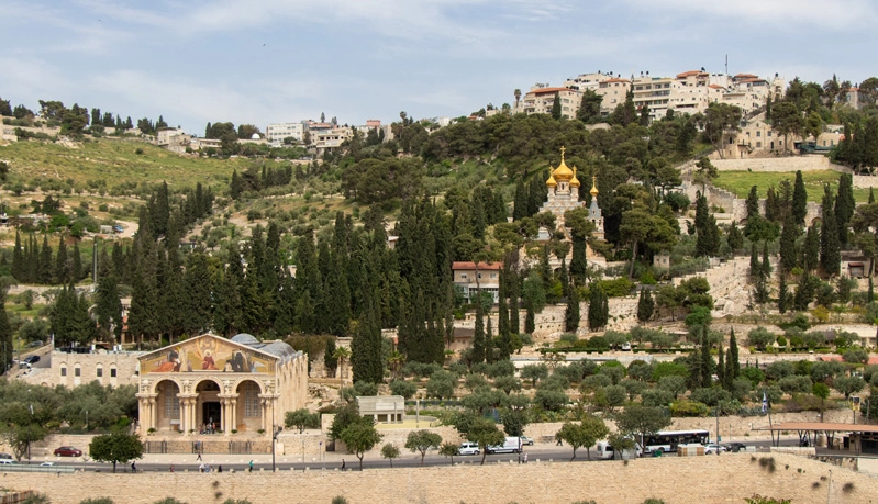 جبل الزيتون، ويضم كنيسة مريم المجدلية (في المنتصف إلى اليمين) وكنيسة جميع الأمم (أسفل اليسار). نورلان/أدوبي ستوك