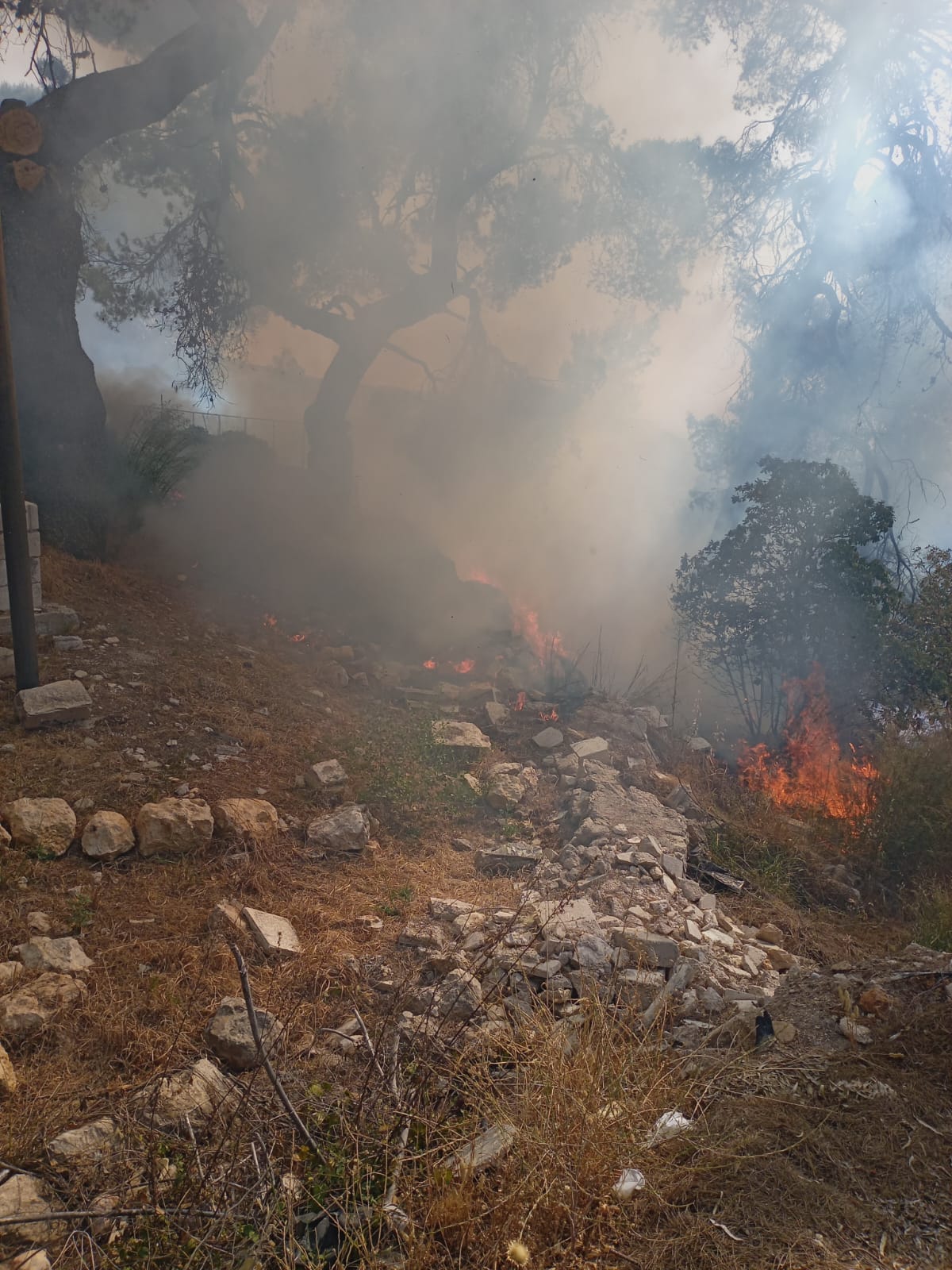 WhatsApp Image 2025-06-29 at 4.54.17 PM