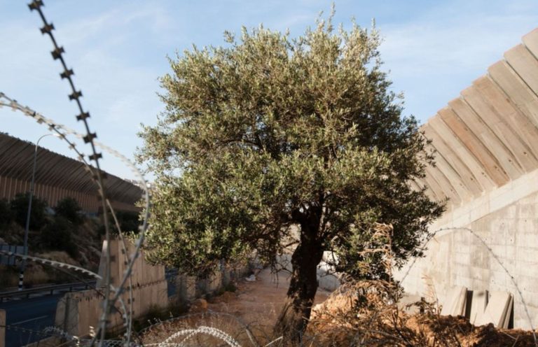 WhatsApp Image 2026-02-26 at 10.11